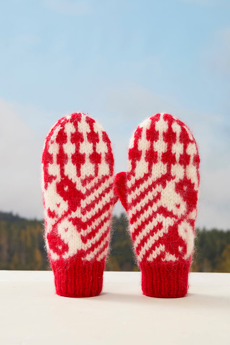 Yarn kit for Nordic Mix mittens